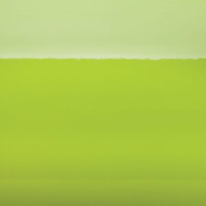 60x25YD SW900GLS LIME GRN