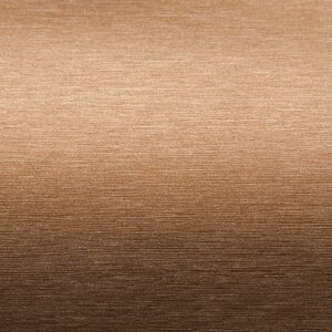 60x25YD SW900 BRUSHD BRNZ