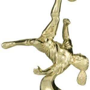 GLD 5" F SOCCER BICYCLE
