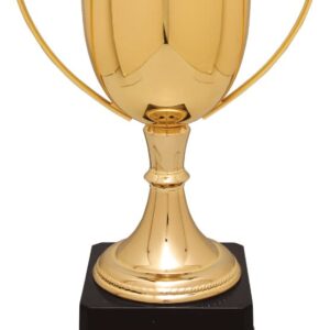 GLD 10.5" CMPLTD ZINC CUP