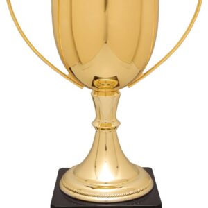 GLD 14.25"CMPLTD ZINC CUP