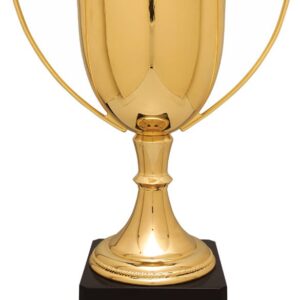 GLD 15.25"CMPLTD ZINC CUP