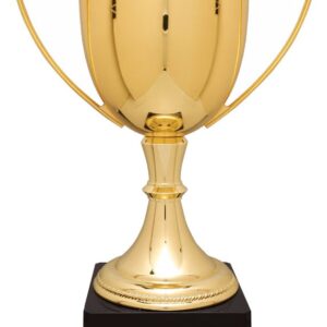 GLD 17.5" CMPLTD ZINC CUP