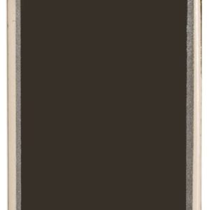 2" BLANK DOG TAG