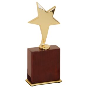 7.5" GOLD STAR AWARD