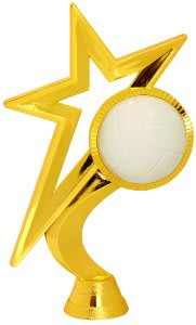 6.5"GOLD STAR VLLYBLL FIG