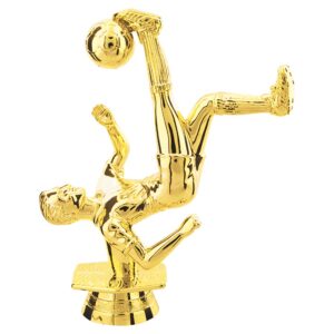 GLD 5" M BICYCLE SOCCER
