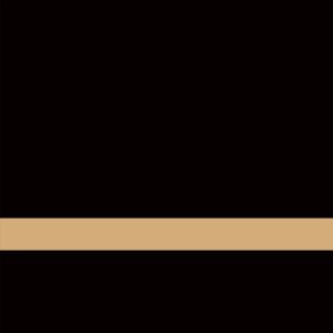 24X49 GLOSS BLK/GLD FLEX
