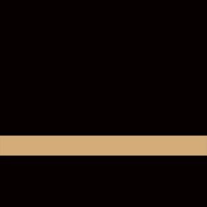 12X24 GLOSS BLK/GLD ULTRA