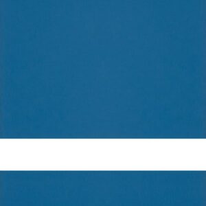 24X24 CLR MATTE/BLUE  REV