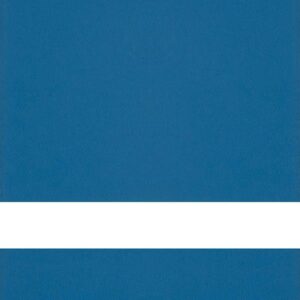 UNDERSZ CLR MATTE/BLU REV