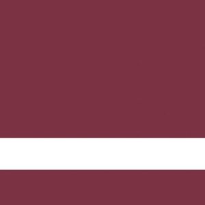 24X24 CLR MATT/MAROON REV