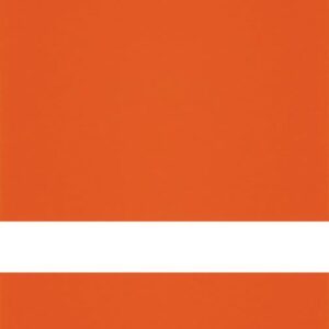 24X49 CLR MATT/ORANGE REV