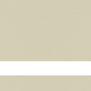 24X49 CLR MATTE/KHAKI REV