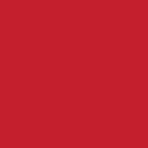 24X49 RED SUBST 1/16