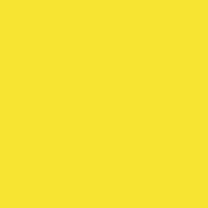 12X24 YELLOW SUBST 1/16