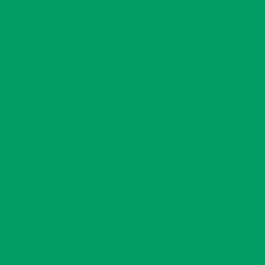 12X24 APPL SPRNG GRN 1/32