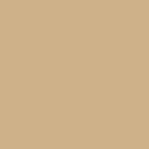 UNDERSIZE APPL LATTE 1/32