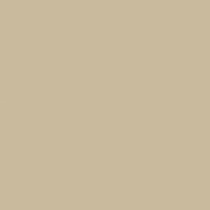 24X49 APPL DSRT SAND 1/32