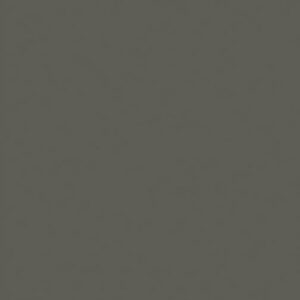 24X49 APPL FRST PLUM 1/32