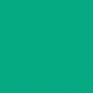 24X49 APPL MINT 1/32