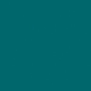 24X49 APPL INTS TEAL 1/32