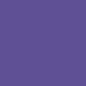 24X49 AMETHYST   1/8