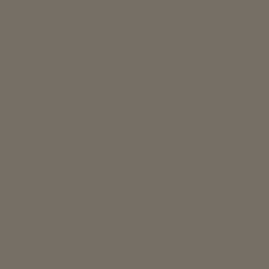 24X49 SMOKE  1/8