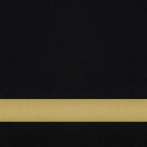 24X49 BLACK/GOLD     .020