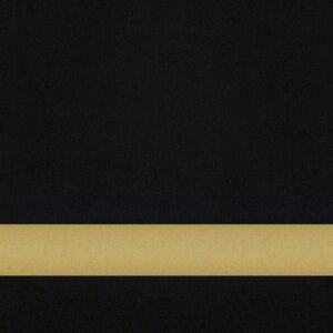UNDRSZ BLACK/GOLD  LSR XT