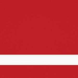 24X49 RED/WHITE  LASER XT