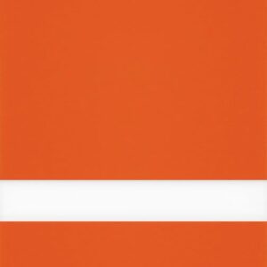 24X49 ORANGE/WHT   LSR XT