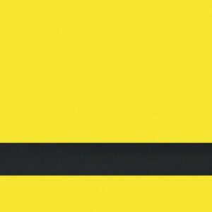 12X24 YELLOW/BLACK LSR XT