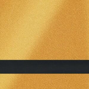 24X49 GOLD/BLACK CG  1/16