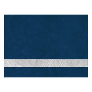 12X24BLU/SLV LSR LTHR SHT